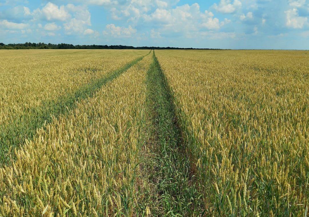 Орловская область. после химпрополки