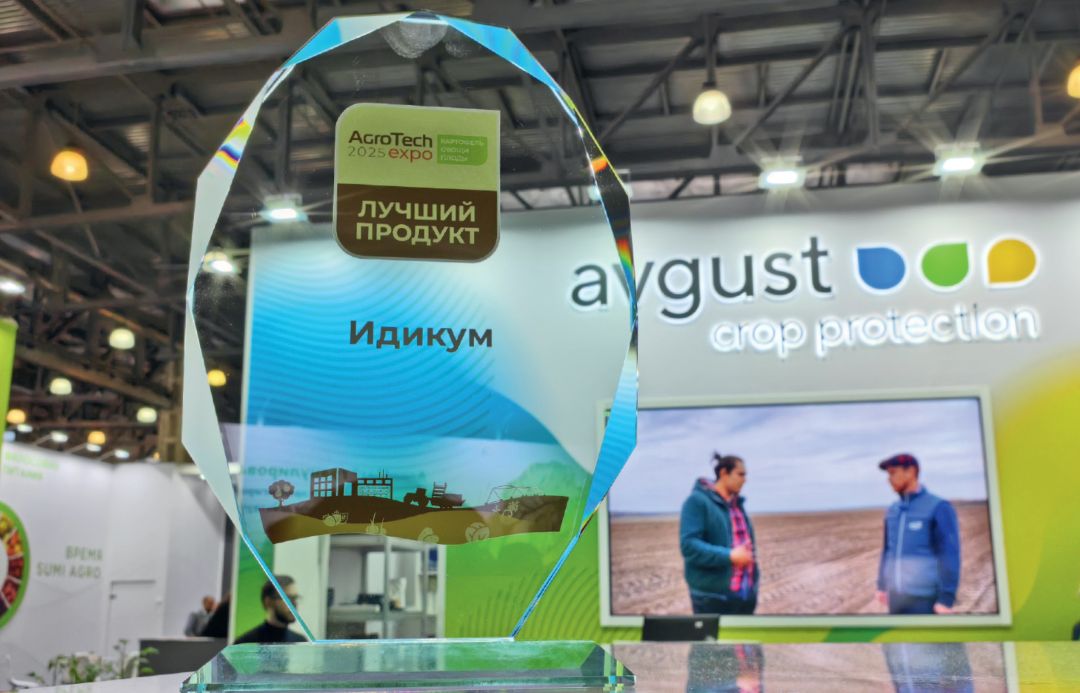 Картофель в центре внимания