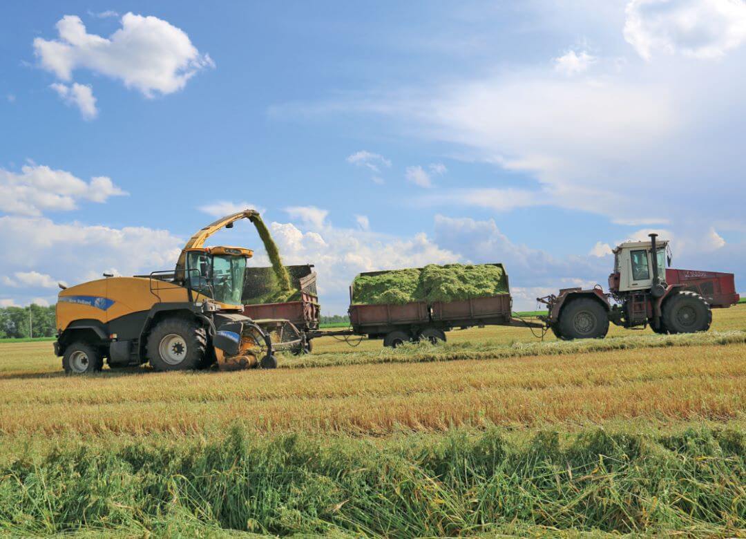 Заготовка кормов