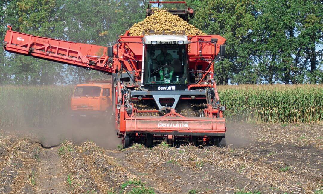 Тамбовская область. Уборка варианта «Августа»