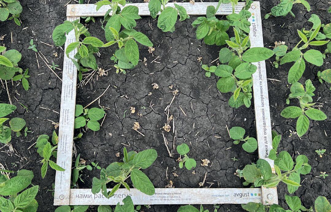 Мордовия. через 15 суток