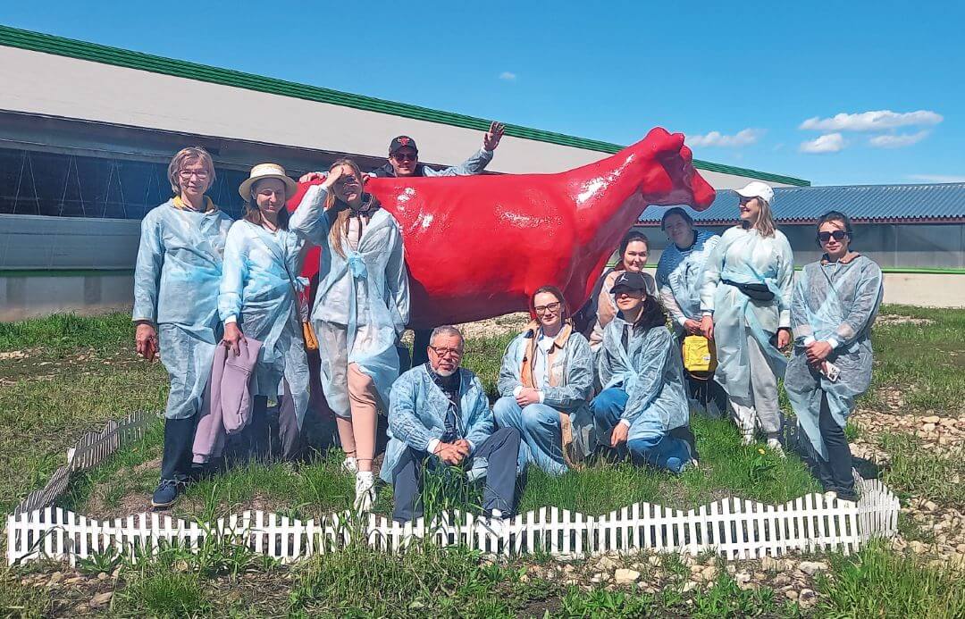 Позируют буренки