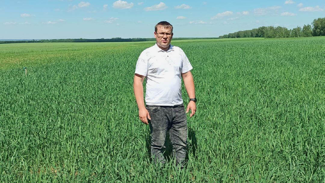 А. Сафиуллин на делянках селекционного центра