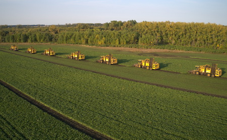 В. В. Овчаров и Ж.-Ф. Пьеноель на поле сахарной свеклы 1 июня 2018 года