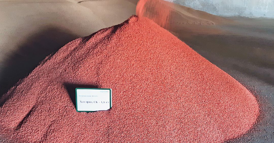 Семена после протравливания