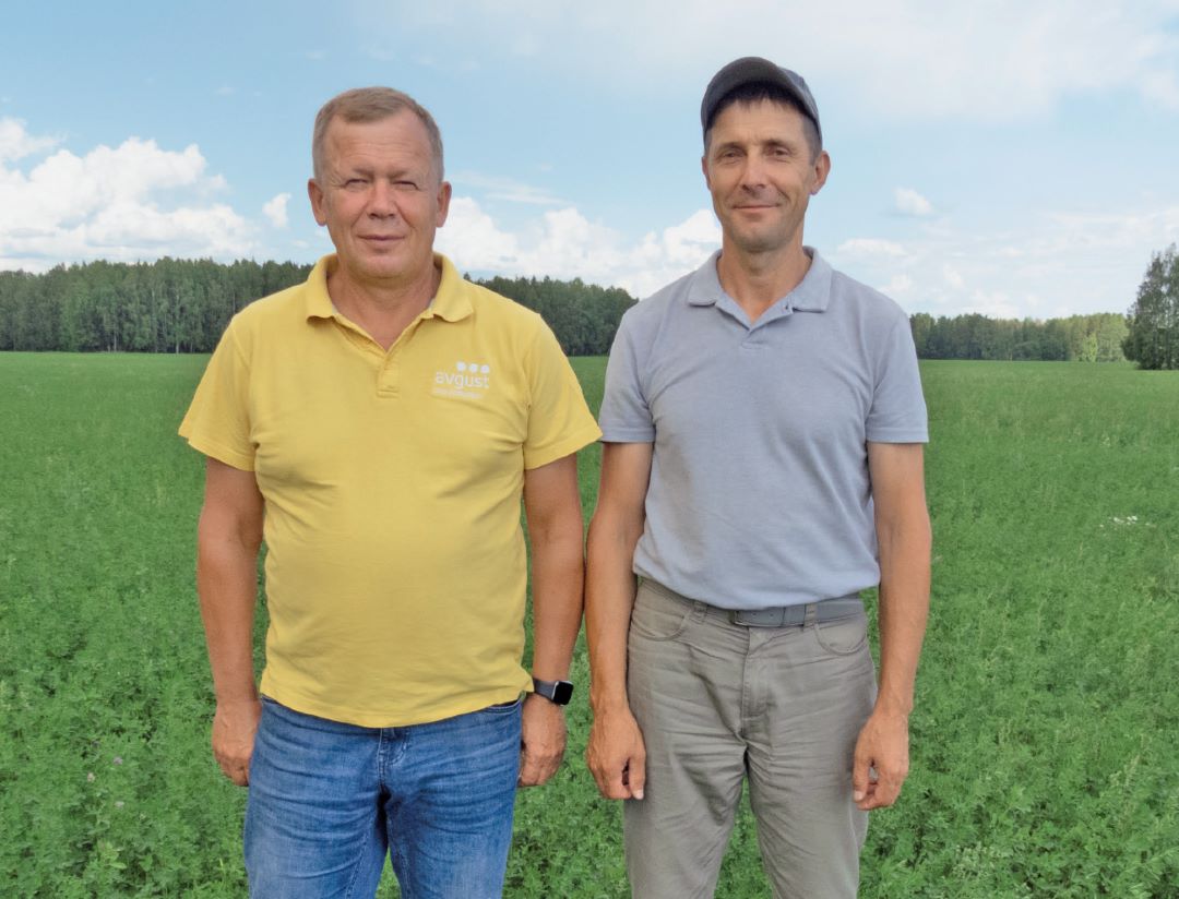 А. В. Родионов (справа) и К. А. Холодков на поле люцерны