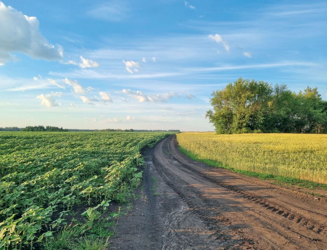 Роль севооборота