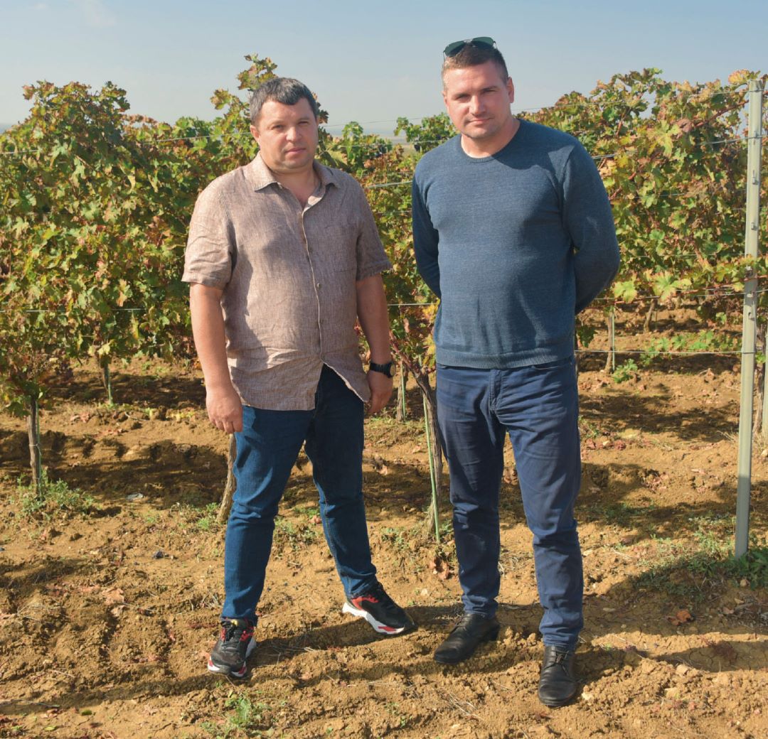 С. И. Соловьев и К. Н. Шамрай