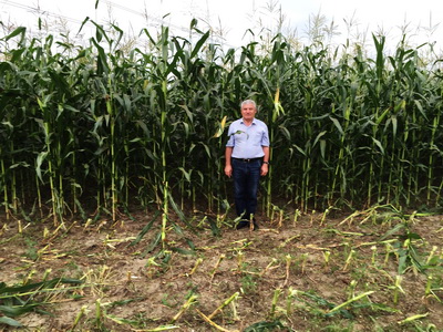 К&nbsp;No-till&nbsp;&mdash; с&nbsp;пониманием