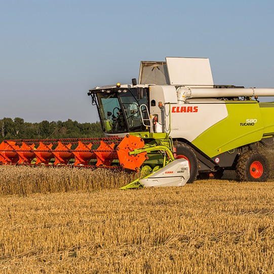 "Тамыз-Муслюм"