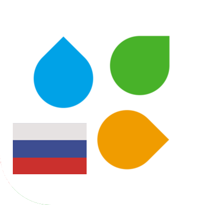 Ресей Федерациясының