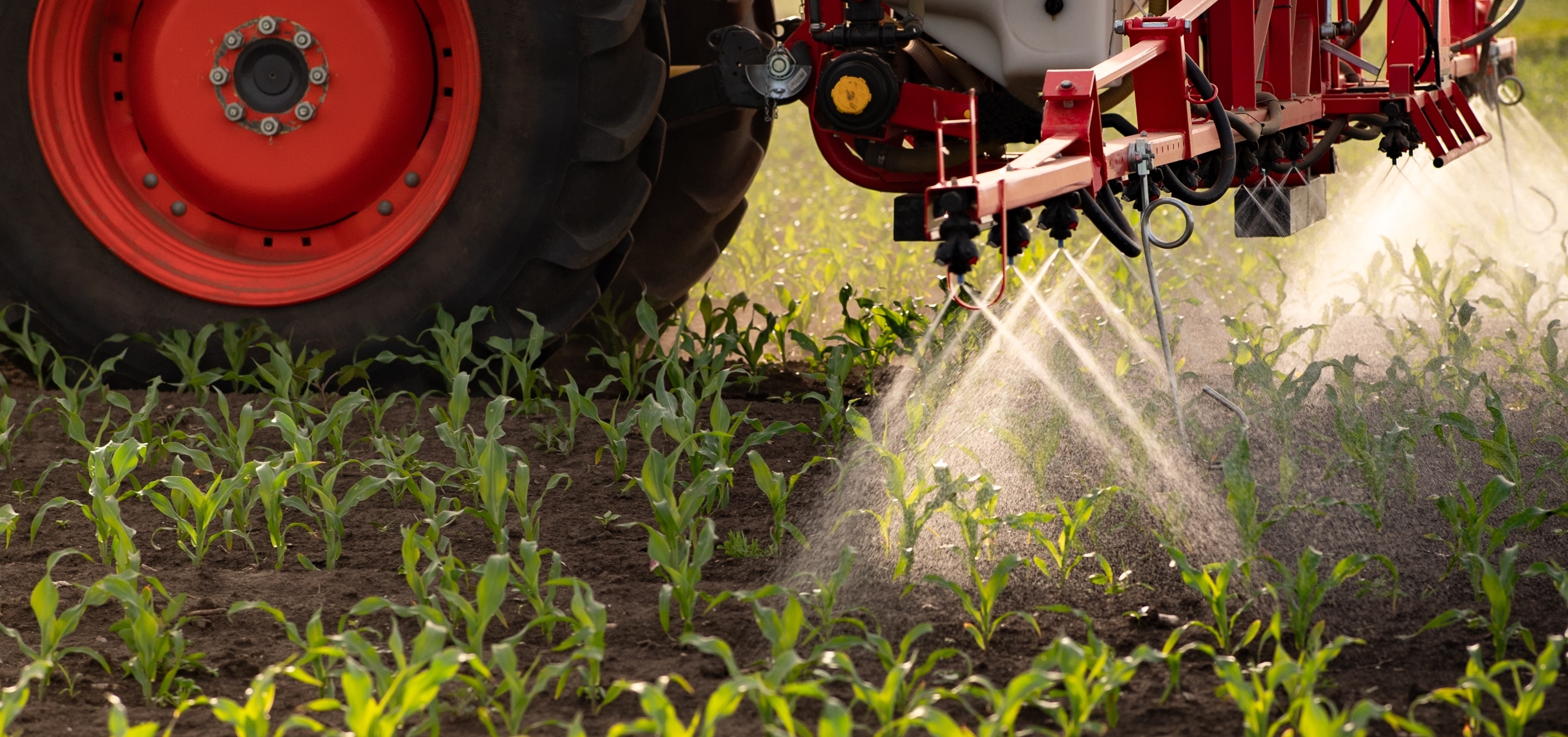 "Тамыз": пестицидтерді басқаруды есепке алу мәселелері және жағдайды түзету шаралары туралы