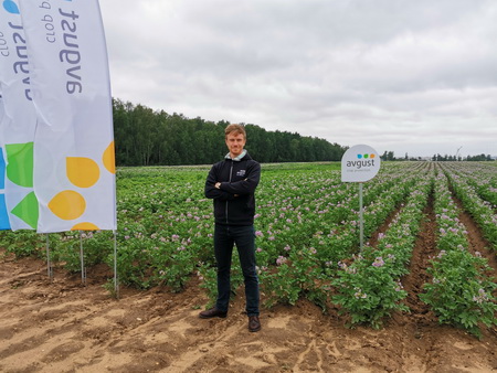 Как&nbsp;защитить картофель от&nbsp;болезней и&nbsp;вредителей