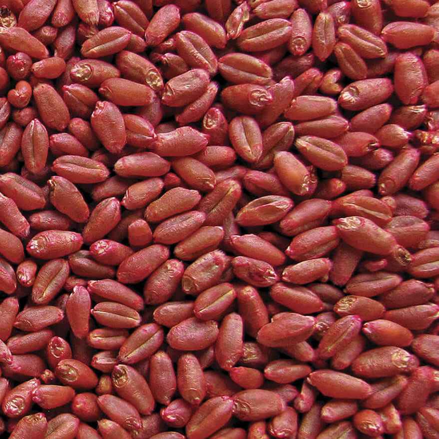 Протравливание. Почему «про»?