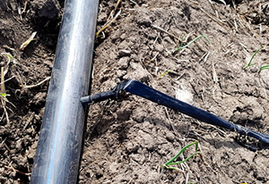 Перегибы на&nbsp;местах