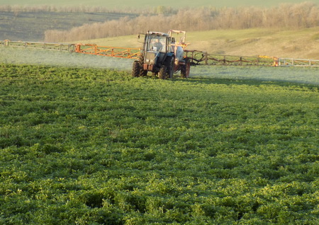 Как&nbsp;защищать люцерну?