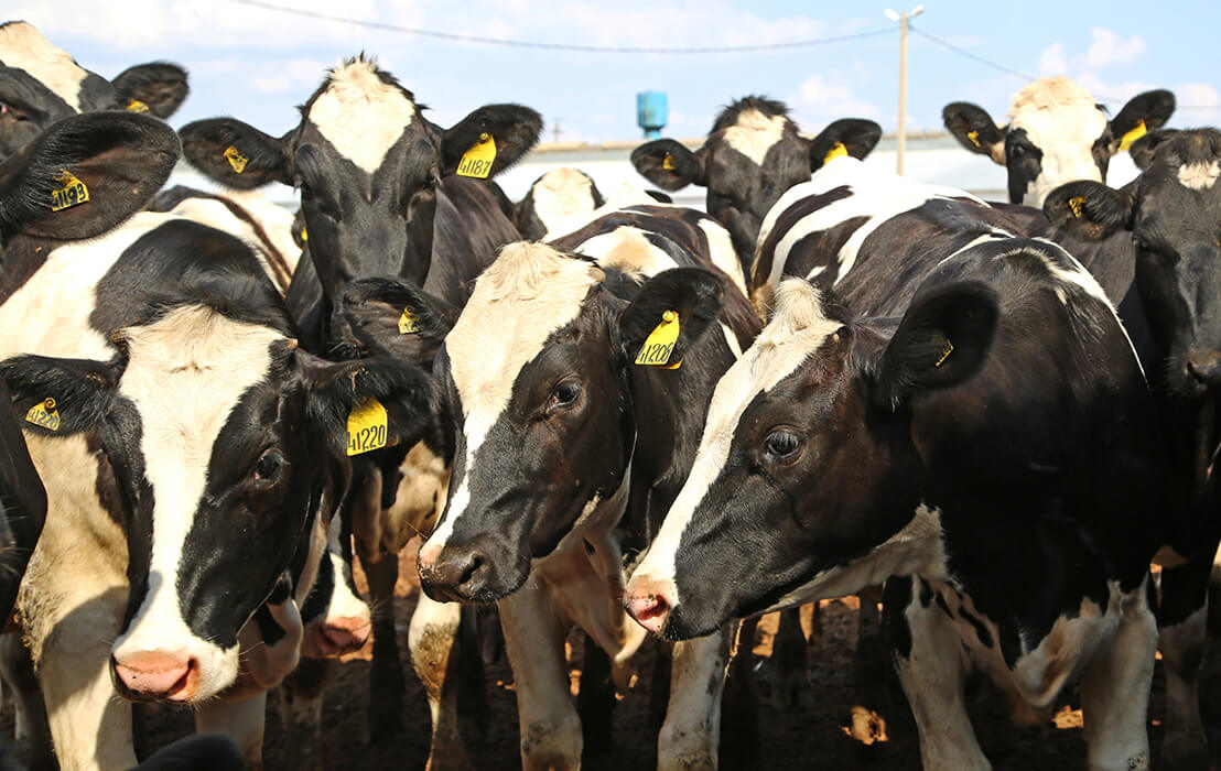 "Тамыз-Лениногор"