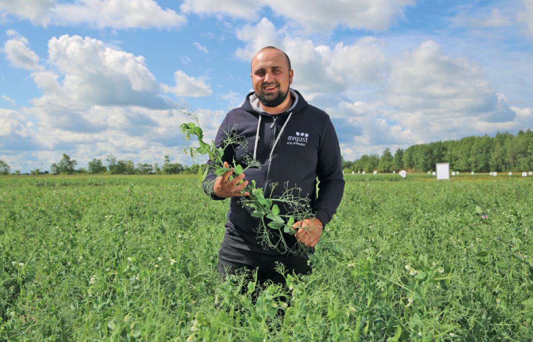 Нерядовые зернобобовые