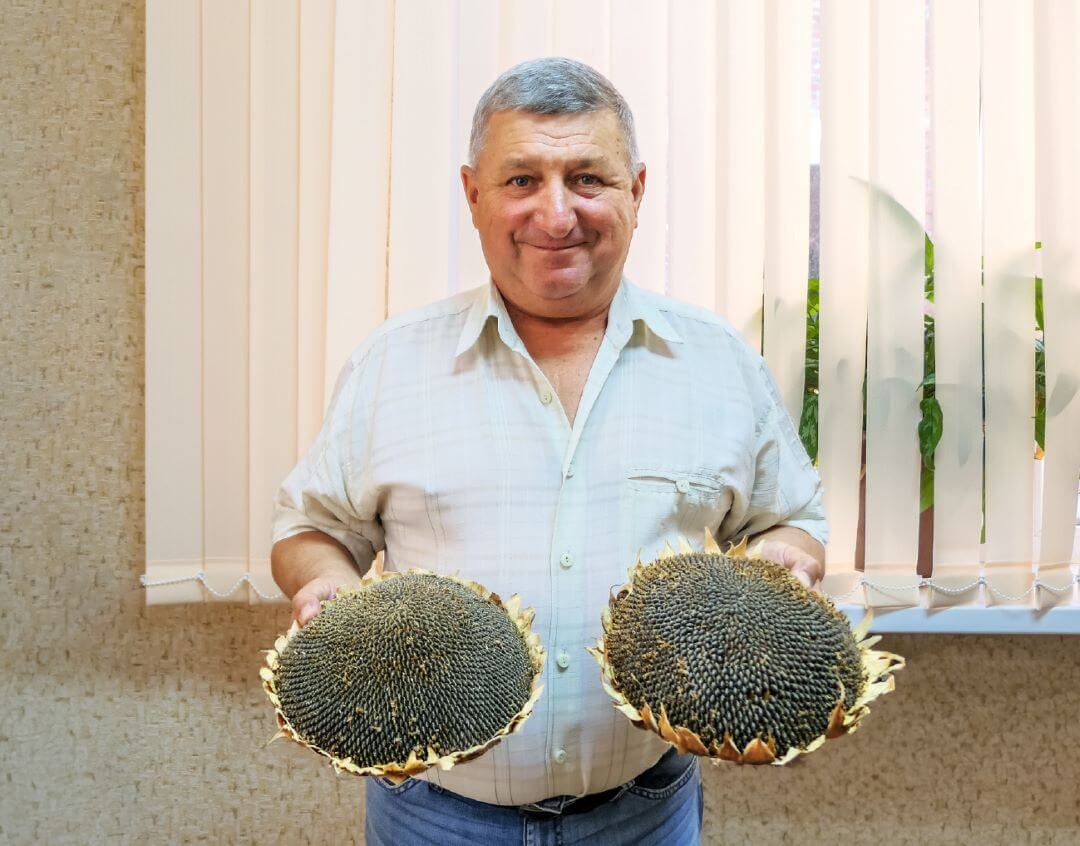 Приступили к&nbsp;импортозамещению