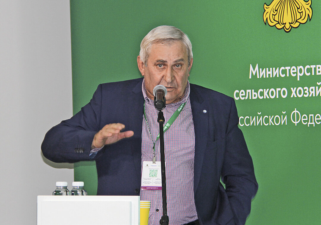 О&nbsp;картофеле