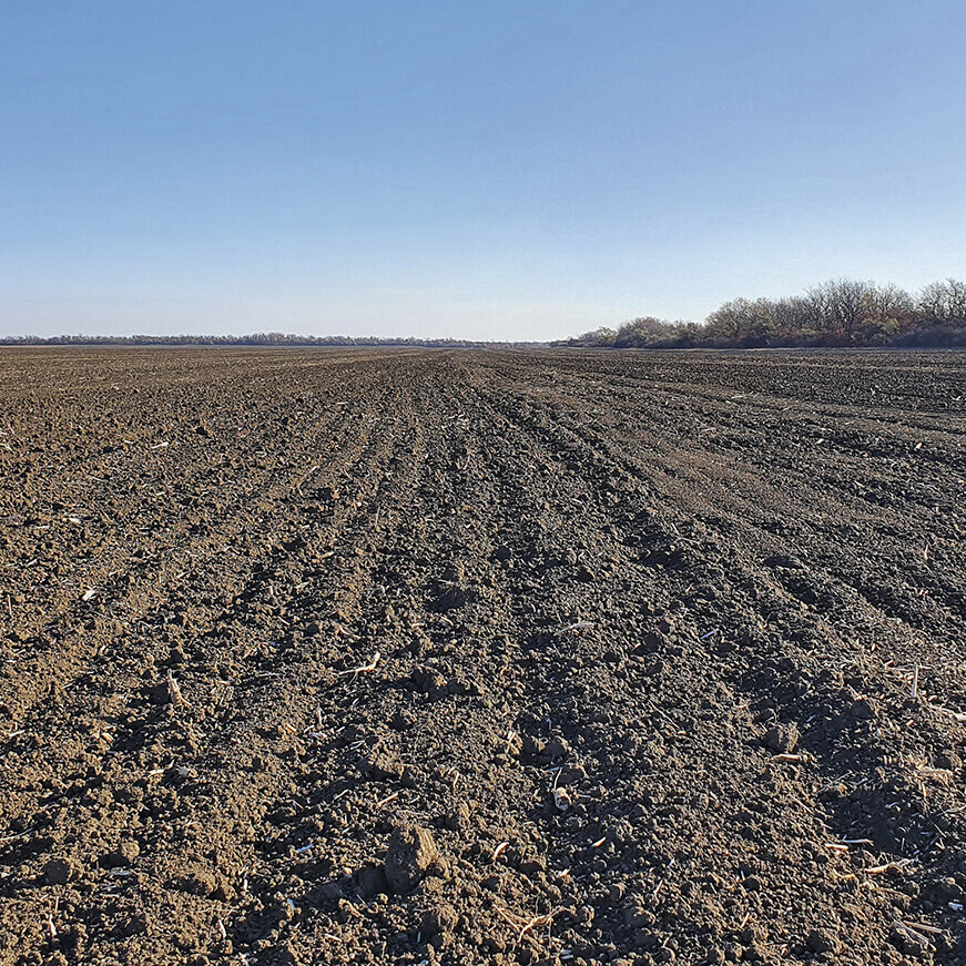 Что&nbsp;сделать для&nbsp;озимых в&nbsp;начале вегетации