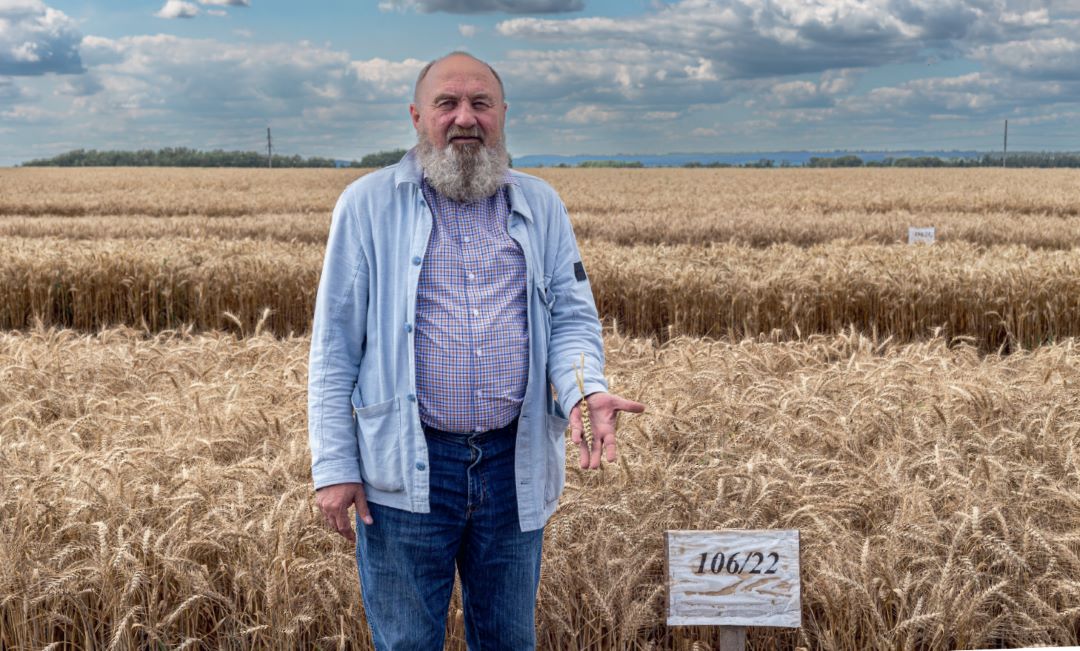 Как&nbsp;обустроить село?