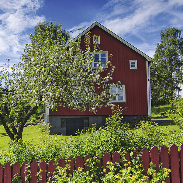 Средства защиты растений для&nbsp;садоводов и&nbsp;дачников