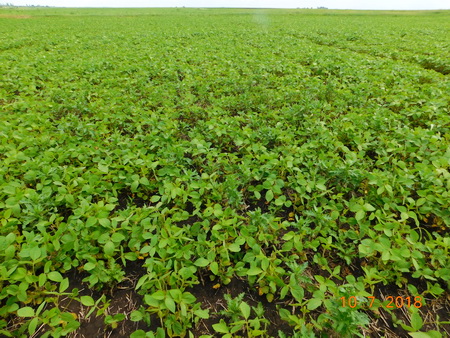 Надо менять взгляды на&nbsp;защиту!