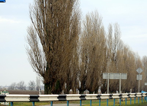 Как&nbsp;победить морозы?