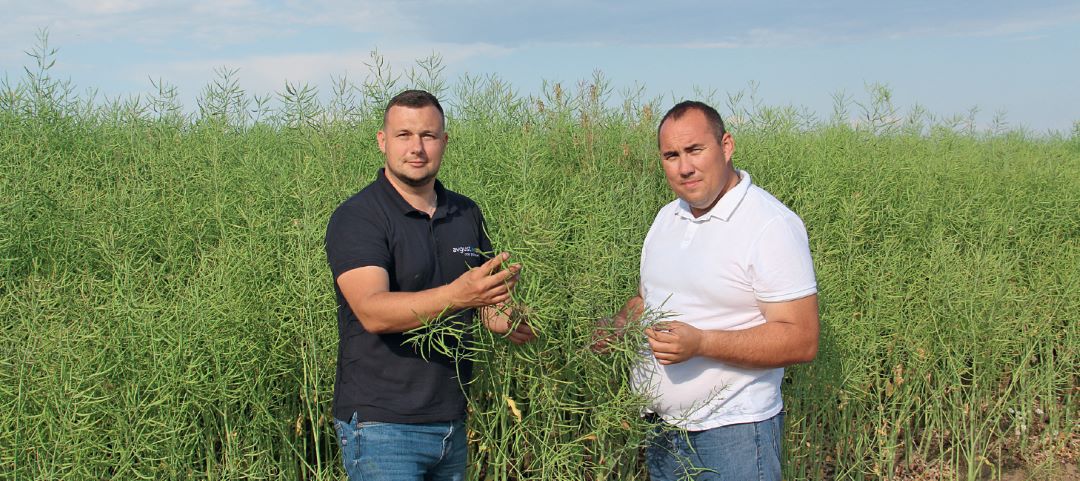 «Орля» расправляет крылья