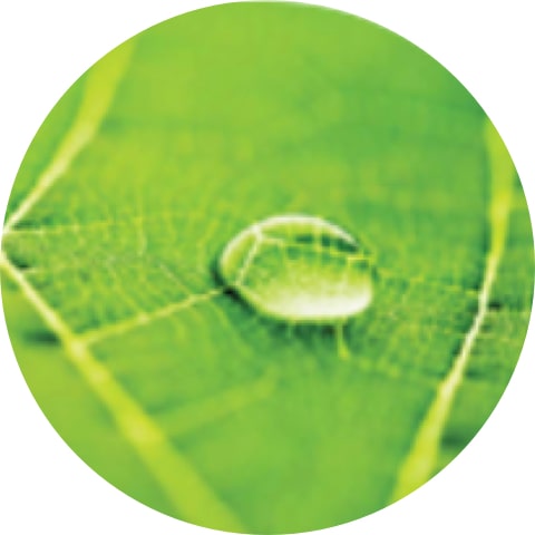 Саптама калькуляторы