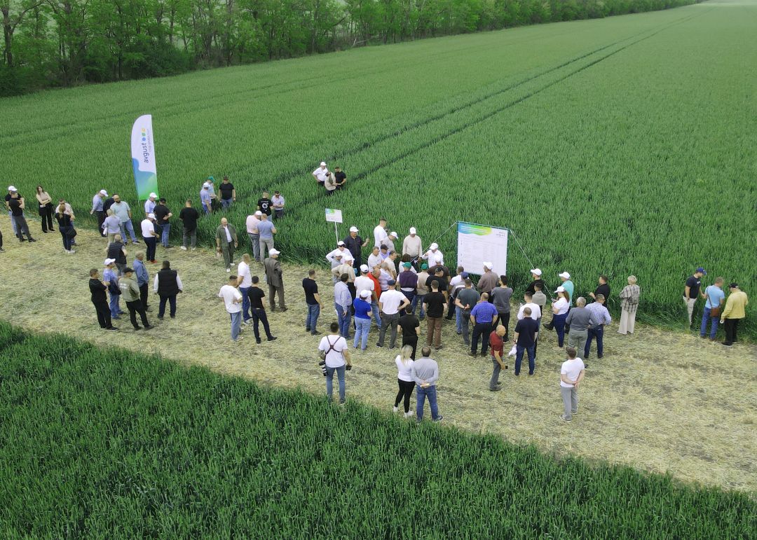 Мамыр айында "тамыз" іс-шараларының дайджесті