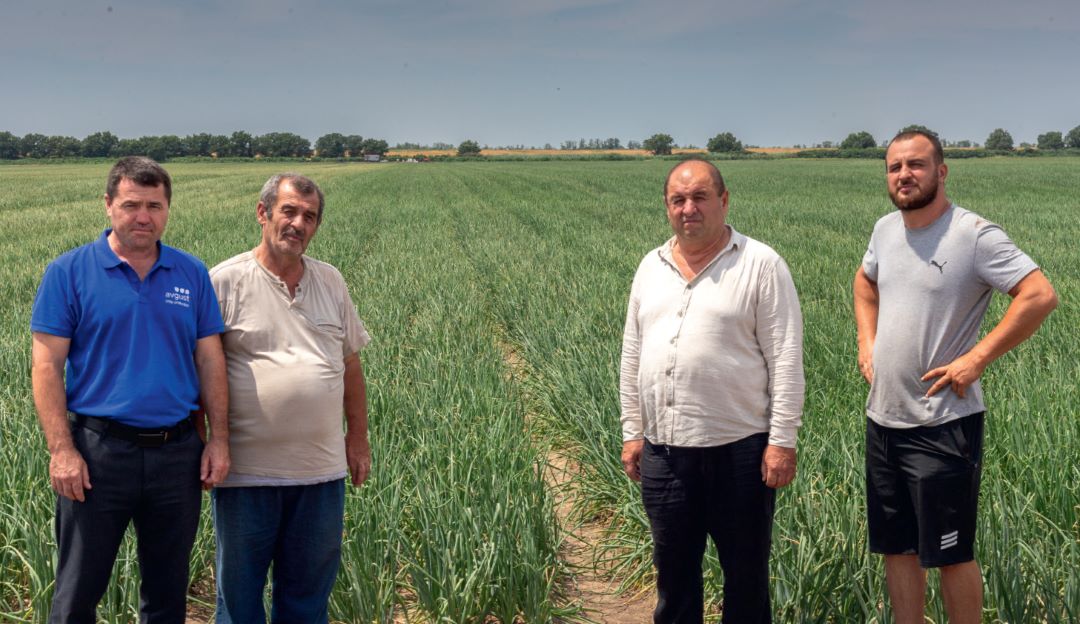 Лук с&nbsp;турецким акцентом