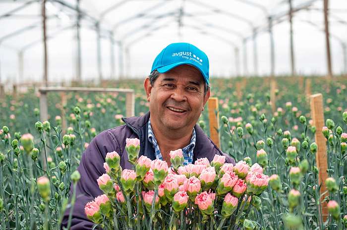 Корпоративтік өмір