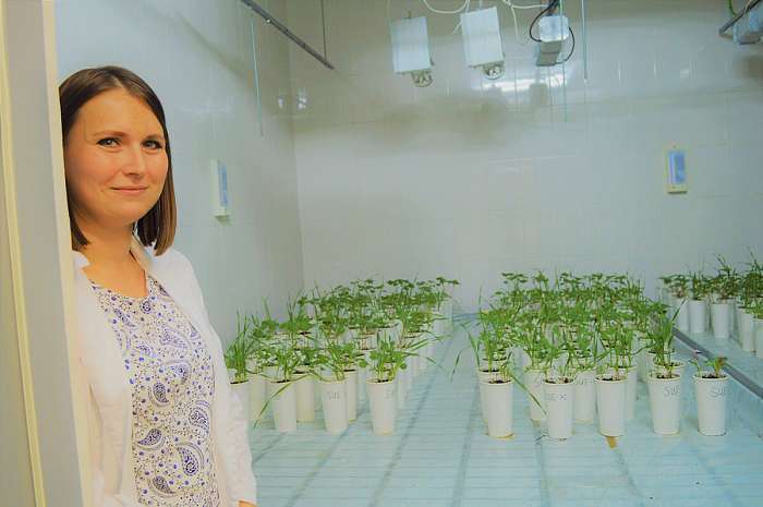 Корпоративтік өмір